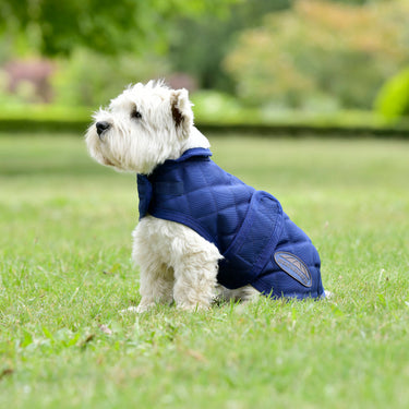 Buy Weatherbeeta Comfitec Deluxe Diamond Quilt Navy Dog Coat | Online for Canine