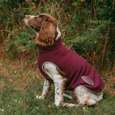 Buy Weatherbeeta Comfitec Maroon/Grey Fleece Zip Dog Coat | Online for Canine