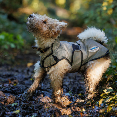 Buy Weatherbeeta Comfitec Reflective  MediumSilver Dog Coat | Online for Canine