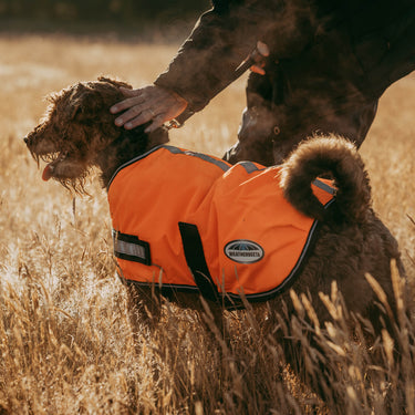 Buy Weatherbeeta Comfitec Reflective Parka 300D Orange Dog Coat | Online for Canine