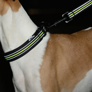 Buy Weatherbeeta Reflective Black/Pink Dog Collar | Online for Canine