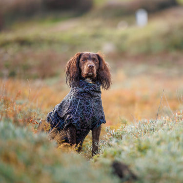 Buy Weatherbeeta Comfitec Reflective Print Active Black/Reflective Rainbow Dog Coat | Online for Canine