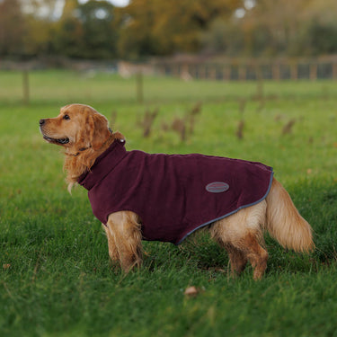 Buy Weatherbeeta Comfitec Navy/Red Fleece Zip Dog Coat | Online for Canine