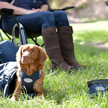 Buy Weatherbeeta Explorer Dog Sleeping Bag | Online for Canine