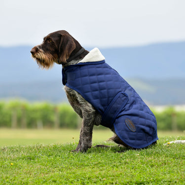 Buy Weatherbeeta Comfitec Deluxe Diamond Quilt Navy Dog Coat | Online for Canine