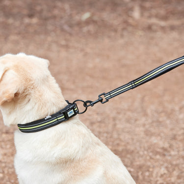 Buy Weatherbeeta Reflective Black/Pink Dog Collar | Online for Canine