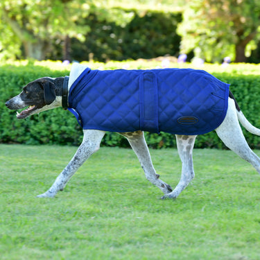 Buy Weatherbeeta Comfitec Deluxe Diamond Quilt Navy Dog Coat | Online for Canine