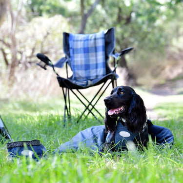 Buy Weatherbeeta Explorer Dog Sleeping Bag | Online for Canine