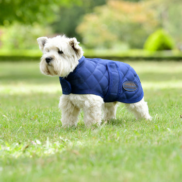 Buy Weatherbeeta Comfitec Deluxe Diamond Quilt Navy Dog Coat | Online for Canine