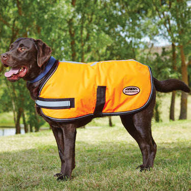 Buy Weatherbeeta Comfitec Reflective Parka 300D Orange Dog Coat | Online for Canine