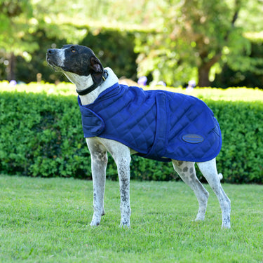 Buy Weatherbeeta Comfitec Deluxe Diamond Quilt Navy Dog Coat | Online for Canine