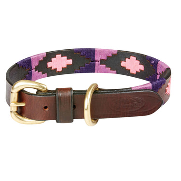 Buy Weatherbeeta Polo Leather Cowdray Brown/Purple/Purple Dog Collar | Online for Canine