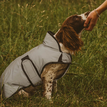 Buy Weatherbeeta Comfitec Reflective  MediumSilver Dog Coat | Online for Canine