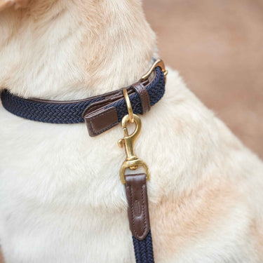 Buy Weatherbeeta Leather Plaited Brown/Navy Dog Lead | Online for Canine