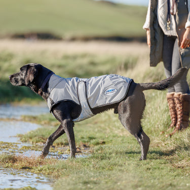 Buy Weatherbeeta Comfitec Reflective  MediumSilver Dog Coat | Online for Canine