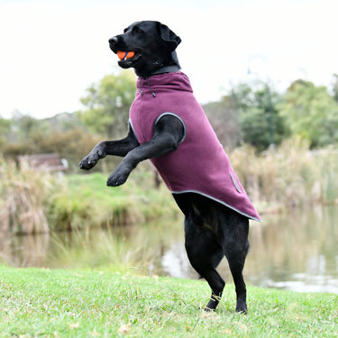 Buy Weatherbeeta Comfitec Navy/Red Fleece Zip Dog Coat | Online for Canine