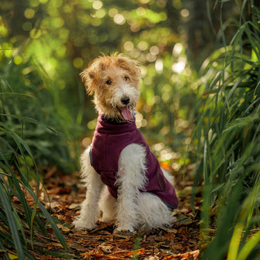 Buy Weatherbeeta Comfitec Navy/Red Fleece Zip Dog Coat | Online for Canine