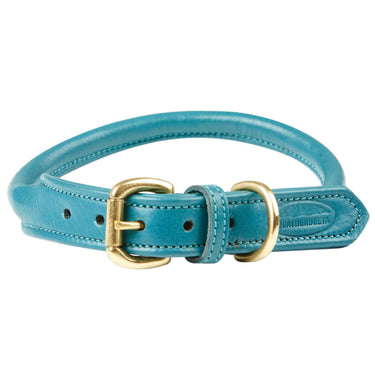 Buy Weatherbeeta Rolled Leather Teal Dog Collar | Online for Canine