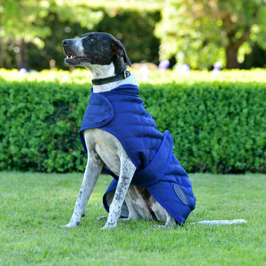 Buy Weatherbeeta Comfitec Deluxe Diamond Quilt Navy Dog Coat | Online for Canine