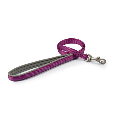 Ancol Viva Padded Snap Lead Purple