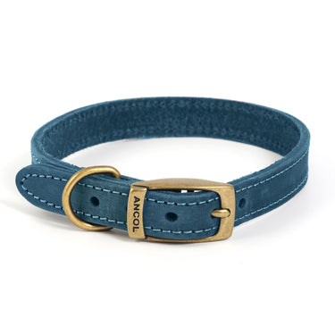 Ancol Timberwolf Collar Blue