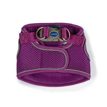 Ancol Viva Step-In Harness Purple