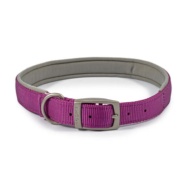 Ancol Viva Padded Collar Purple