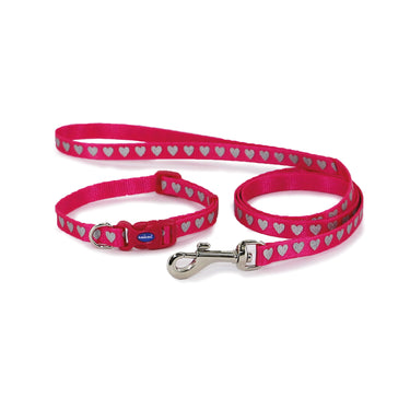 Ancol Small Bite Reflective Collar & Lead