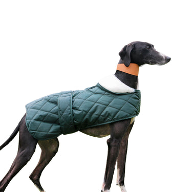 Ancol Heritage Quilted Hound Coat