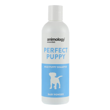 Buy Animology Essentials Baby Powder Shampoo For Puppies | Online for Canine