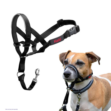 Halti Headcollar Black