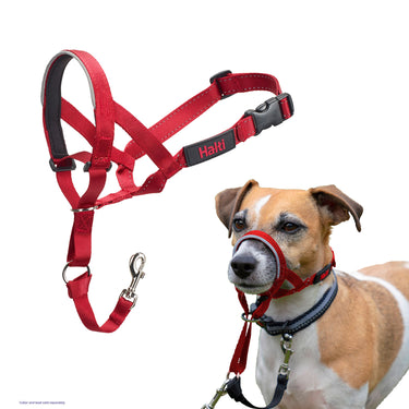 Halti Headcollar Red