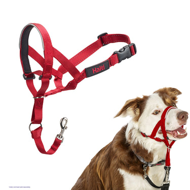 Halti Headcollar Red