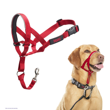 Halti Headcollar Red