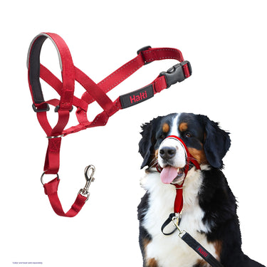 Halti Headcollar Red