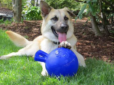 Jolly Pets Tug-N-Toss Blue