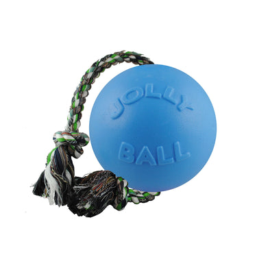 Jolly Pets Romp-N-Roll Blueberry