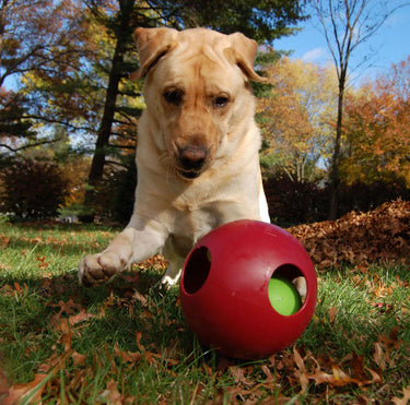 Jolly Pets Teaser Ball Red