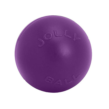 Jolly Pets Push-N-Play Purple