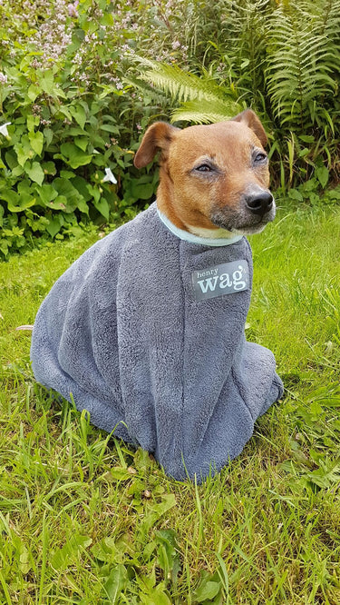 Henry Wag Drying Bag