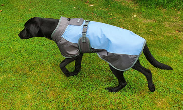 Henry Wag Waterproof Dog Coat