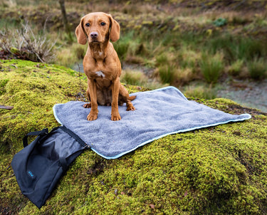 Buy Henry Wag Easy-Roll Travel Bed | Online for Canine