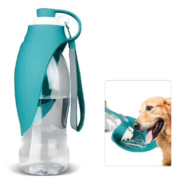 Henry Wag Travel Water Bottle & Leaf Bowl