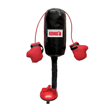 Buy Kong Cat Connects Punching Bag | Online for Canine