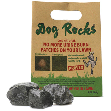 Dog Rocks