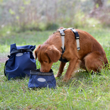 Buy Weatherbeeta Explorer Dog Water/Feed Bowl | Online for Canine