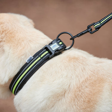 Buy Weatherbeeta Reflective Black/Yellow Dog Collar | Online for Canine