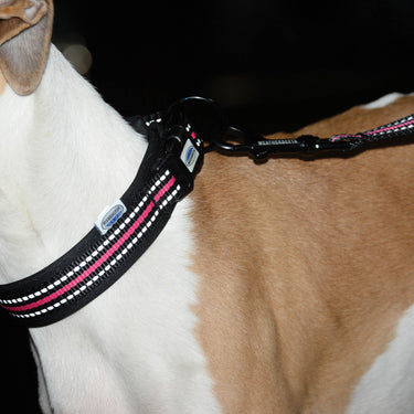 Buy Weatherbeeta Reflective Black/Pink Dog Collar | Online for Canine