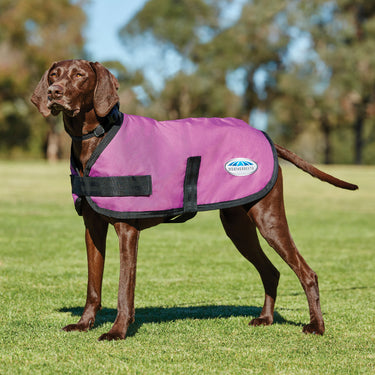 Buy Weatherbeeta Comfitec Classic Dark Grey Dog Coat | Online for Canine