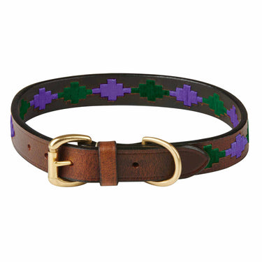 Buy Weatherbeeta Polo Leather Beaufort Brown/Purple/Teal Dog Collar | Online for Canine